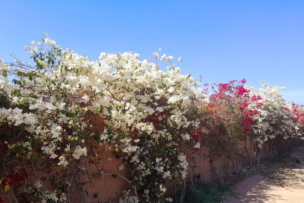 Villa Agora, Villa A La Campagne Proche Marrakech Sidi Abdallah Ghiat Экстерьер фото
